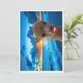 カーサンキュード サンキューカード (スタンド正面)