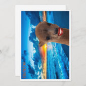 カーサンキュード サンキューカード (正面/裏面)