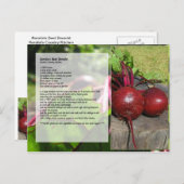 カースティンズベットボルシュトレシピはがき ポストカード (正面/裏面)