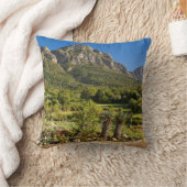 カーステンボスボタニックガーデンズケープタウン クッション (ブランケット)