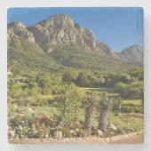 カーステンボスボタニックガーデンズケープタウン ストーンコースター (正面)