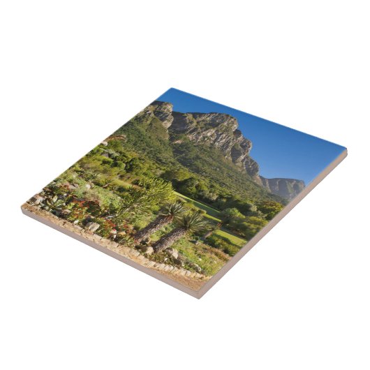 カーステンボスボタニックガーデンズケープタウン タイル (側面)