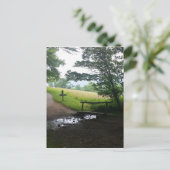 カーズコーブスモ素晴らしークマウンテンズ ポストカード (スタンド正面)