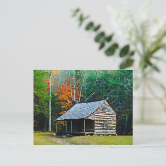 カーターシールズキャビン素晴らし – スモークマウンテン ポストカード (スタンド正面)