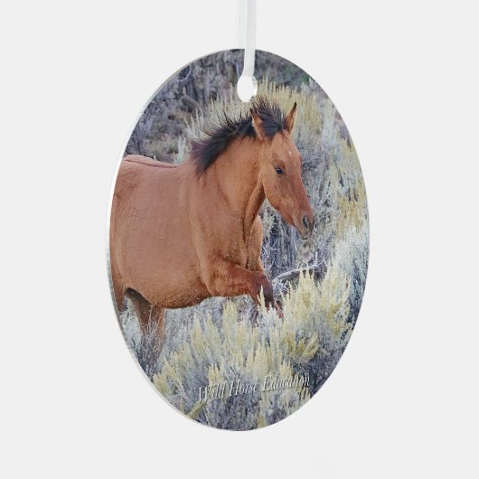 カーター子馬ワイルドホースオーナメント メタルオーナメント (正面右)