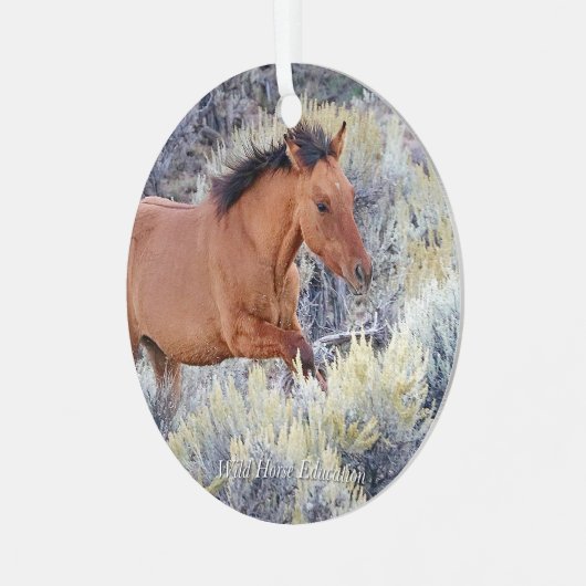 カーター子馬ワイルドホースオーナメント メタルオーナメント (正面左)