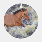 カーター子馬ワイルドホースオーナメント メタルオーナメント (正面)