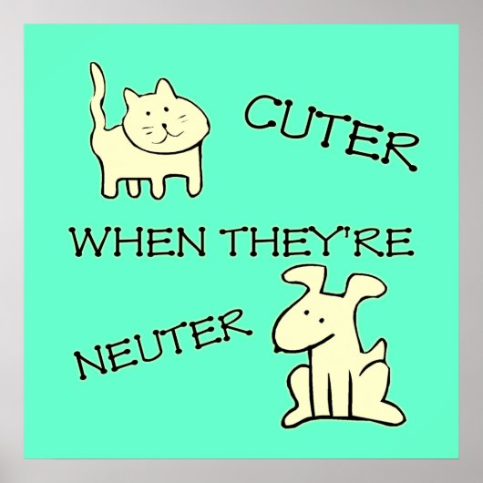 カーター・ポスター ポスター (正面)