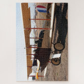 カーチジェニー二面飛行機 ジグソーパズル (縦)