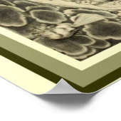 カーチャーの「Mundus Subterraneus」 – 水16 x 20 ポスター (角)