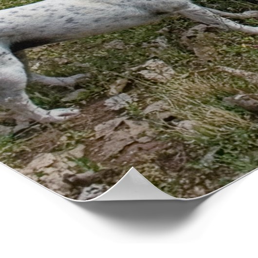 カーティス ポスター (角)