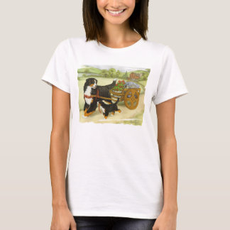 カーティンベルナー Tシャツ