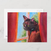 カーテンつきチョコレートブラック猫 ポストカード (正面/裏面)