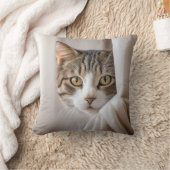 カーテンを掛けたタビー猫 クッション (ブランケット)