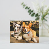 カーディガンとペンブロークポストカード ポストカード (スタンド正面)