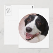 カーディガンウェルシュコーギー ポストカード (正面/裏面)