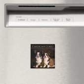 カーディガンウェルシュコーギー マグネット (インサイチュ (食洗機))