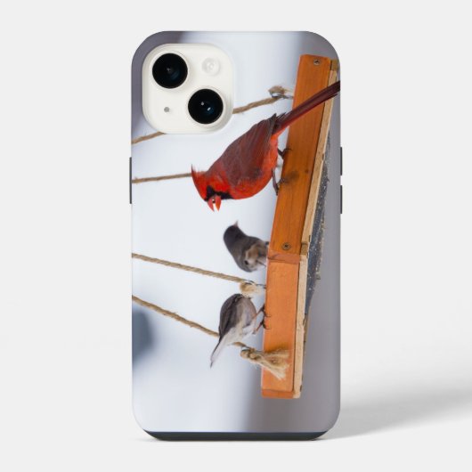 カーディナルとジュンコのiPhoneケース iPhoneケース (裏面)