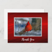 カーディナルレッドの冬の写真ありがとうございます ポストカード (正面/裏面)