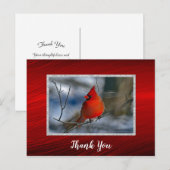 カーディナルレッドの冬の写真 ありがとうございます ポストカード (正面/裏面)