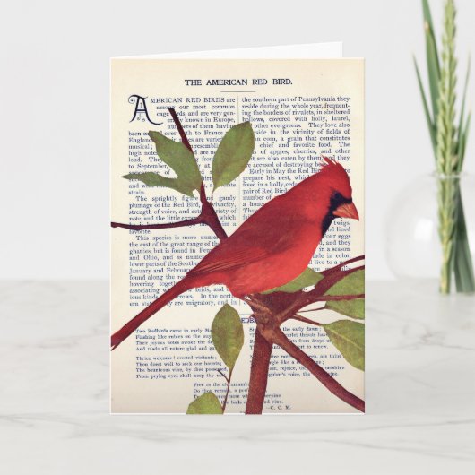 カーディナル カード (正面)