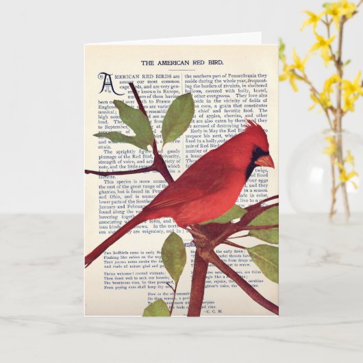 カーディナル カード (黄色い花)