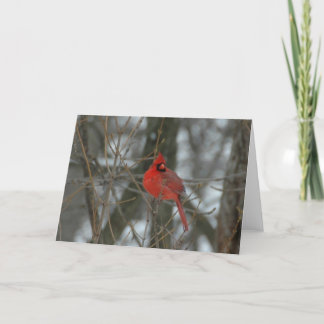 カーディナル カード