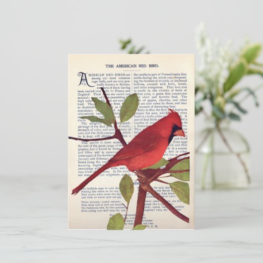 カーディナル カード (スタンド正面)