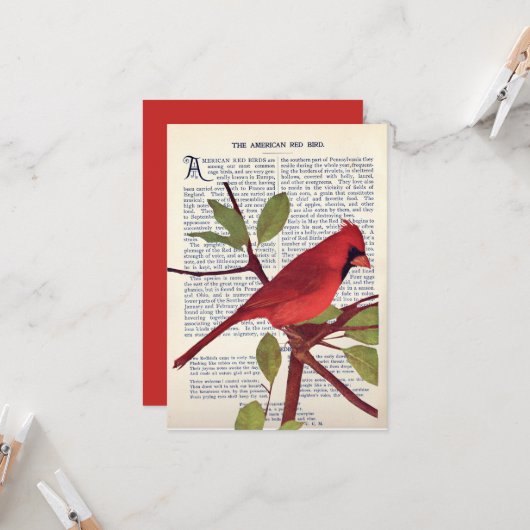 カーディナル カード (正面/裏面インサイチュ)