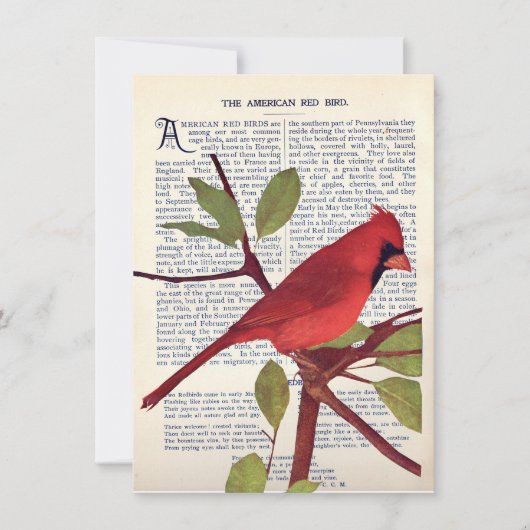 カーディナル カード (正面)