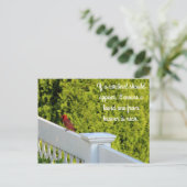 カーディナル ポストカード (スタンド正面)