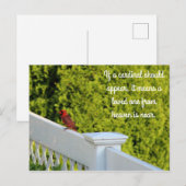 カーディナル ポストカード (正面/裏面)