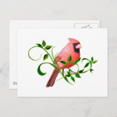 カーディナル ポストカード (正面/裏面)