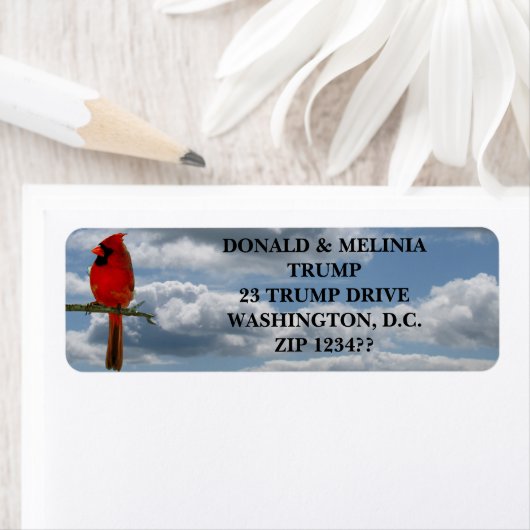 カーディナル ラベル (インサイチュ)