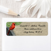 カーディナル ラベル (インサイチュ)