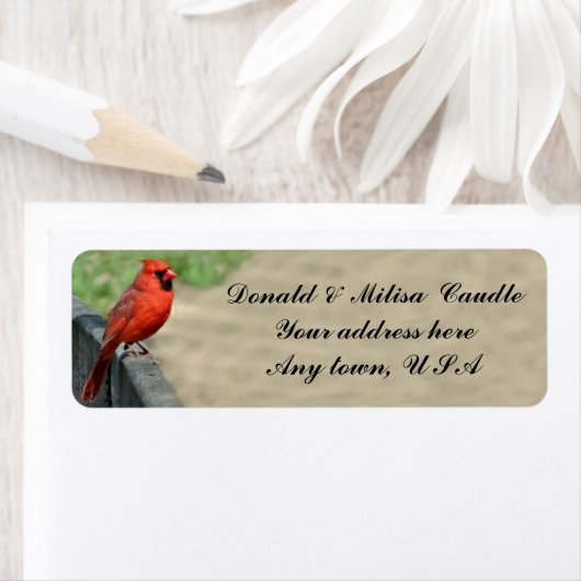 カーディナル ラベル (インサイチュ)