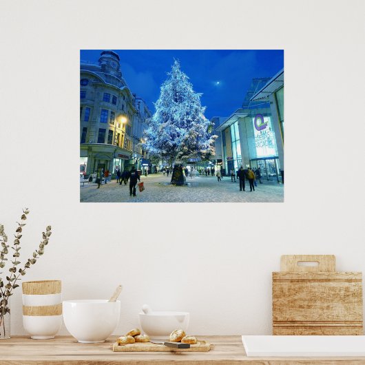 カーディフに雪 ポスター (キッチン)