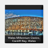 カーディフベイウエールズミレニアムセンター,イギリスアーツ マグネット (正面)