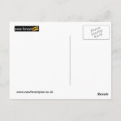 カーディフベイポストカード ポストカード (裏面)