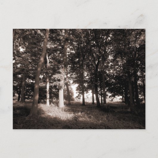 カーディフ2世ウッズブテパーク ポストカード (正面)