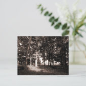 カーディフ2世ウッズブテパーク ポストカード (スタンド正面)