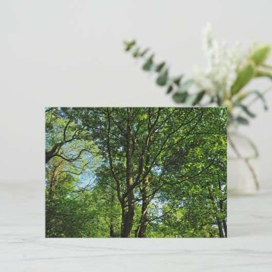 カーディフ・ウェールズ、ビュート・パーク、ブラックワイア・ウッズ カード (スタンド正面)