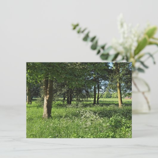 カーディフ・ウェールズ、ビュート・パーク、ブラックワイア・ウッズ カード (スタンド正面)