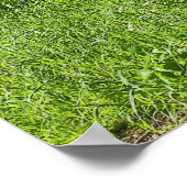 カーディフ・ウェールズ、ビュート・パーク、ブラックワイア・ウッズ ポスター (角)