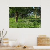 カーディフ・ウェールズ、ビュート・パーク、ブラックワイア・ウッズ ポスター (キッチン)