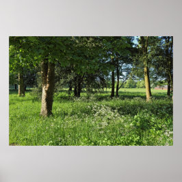 カーディフ・ウェールズ、ビュート・パーク、ブラックワイア・ウッズ ポスター