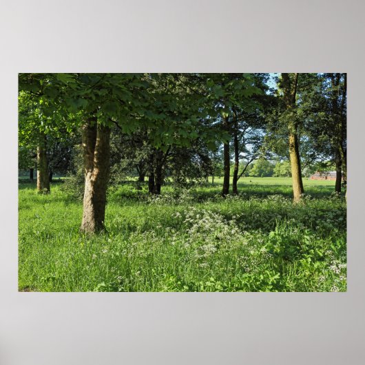 カーディフ・ウェールズ、ビュート・パーク、ブラックワイア・ウッズ ポスター (正面)