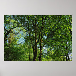 カーディフ・ウェールズ、ビュート・パーク、ブラックワイア・ウッズ ポスター