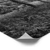 カーディフ・ウッズビュートパーク ポスター (角)