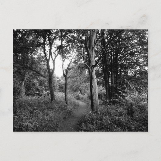 カーディフ・ウッズビュートパーク ポストカード (正面)